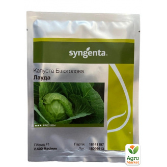 Капуста Лауда ТМ Syngenta 2500шт