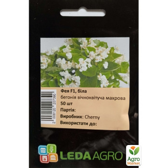 Бегонія Фея F1 біла ТМ Leda Agro 50шт