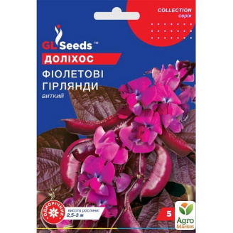Долихос Фиолетовые гирлянды ТМ GL Seeds 5шт