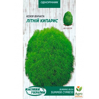 Кохия Летний кипарис ТМ Семена Украины 0.5г