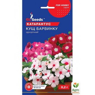 Катарантус Кущ барвінку ТМ GL Seeds 0.1г