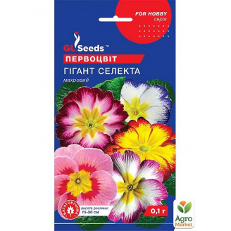 Примула Гігант селекту ТМ GL SEEDS 0.1г