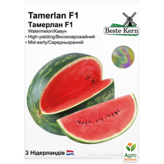 Арбуз Тамерлан F1 ТМ Beste Kern 5шт
