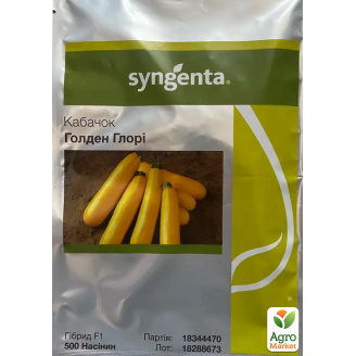 Кабачок Голден Глори F1 ТМ Syngenta 500шт