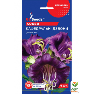 Кобея фіолетова Кафедральні дзвони ТМ GL SEEDS 4шт