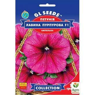 Петуния Лавина пурпурная F1 ТМ GL SEEDS 10шт