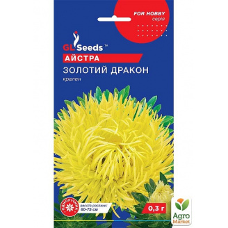 Астра Золотой дракон ТМ GL Seeds 0.3г