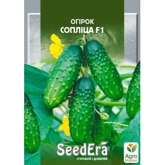Огурец Соплица ТМ SeedEra 0.5г