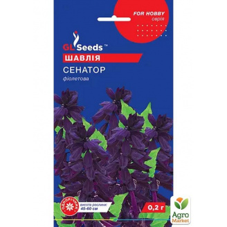 Сальвія Сенатор ТМ GL SEEDS 0.2г