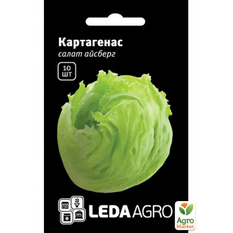 Салат айсберг Картагенас ТМ Leda Agro 10шт