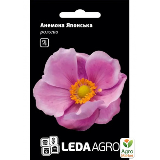Анемона Японская розовая ТМ Leda Agro 10шт