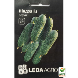 Огірок Ніндзя F1 ТМ Leda Agro 10шт