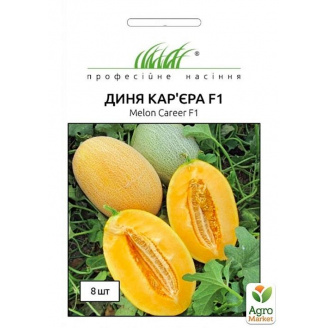 Дыня Карьера ТМ Профессиональные семена 8шт