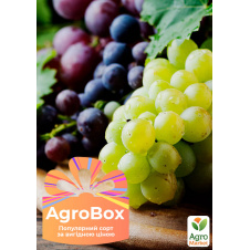 Ексклюзив! AGROBOX із саджанцем найсмачнішого винограду