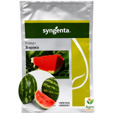 Кавун Барака F1 62-64дн. ТМ Syngenta 1000шт