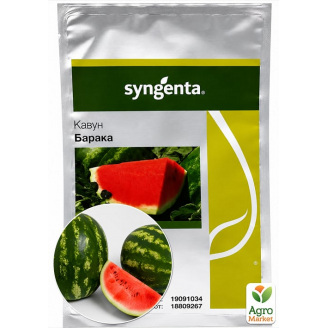 Кавун Барака F1 62-64дн. ТМ Syngenta 1000шт