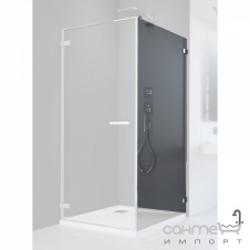 Неподвижная боковая стенка душевой кабины Radaway Arta S1 110 386023-03-01