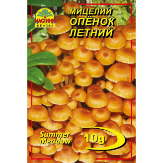Мицелий грибов Насіння країни Опенок летний 10 г