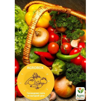 AGROBOX Овощной микс 3 голландских сорта