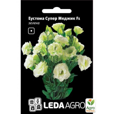 Еустома Супер Меджик F1, зелена ТМ Leda Agro 5шт