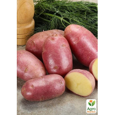 Насіннєва картопля Есмі рання (1-ша репродукція) 5 кг